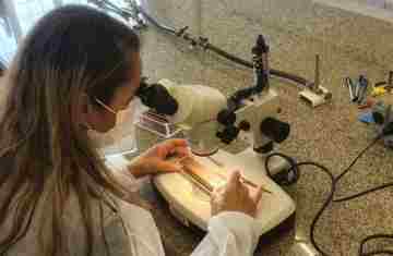  Combate: Paraná monitora arboviroses com sistema eficiente e de baixo custo 